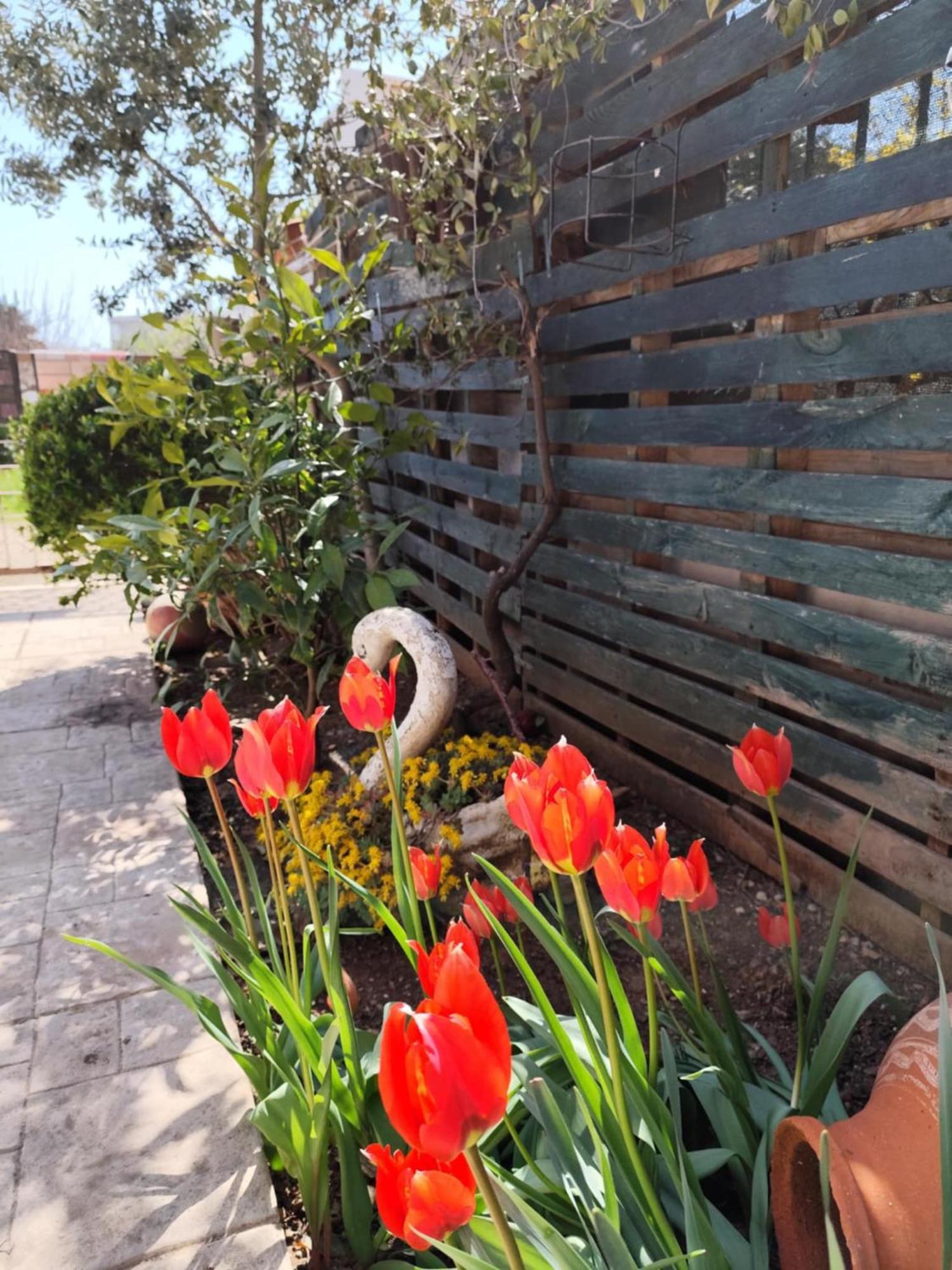 Mary'S Cozy Apartment Alexandroupoli Exterior photo